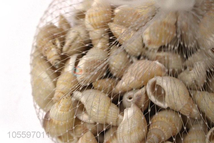 Delicate Design Fashion Shell Craft Decorative Shell