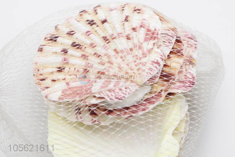 China Wholesale Party Decor Shell Crafts