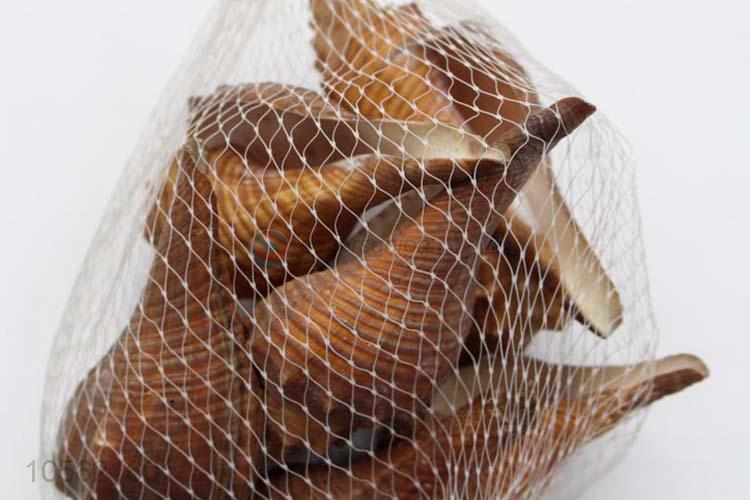 Wholesale Cheap Conch Seashells For DIY Crafts