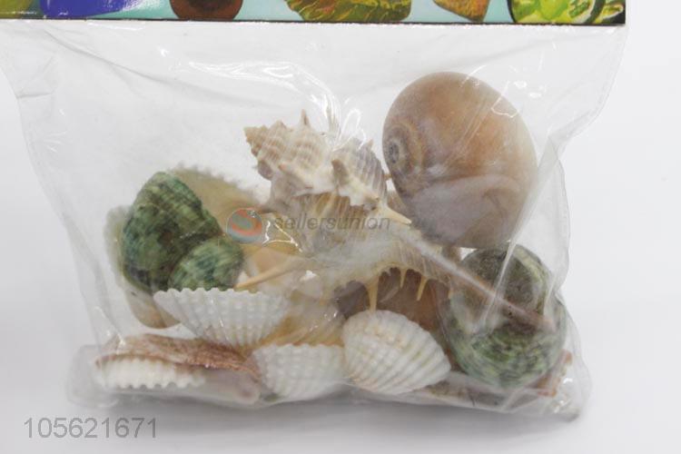 Popular Wholesale Mediterranean Style DIY Shell Crafts