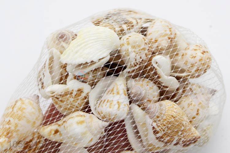 Factory Price Aquarium Decoration Conch Shells