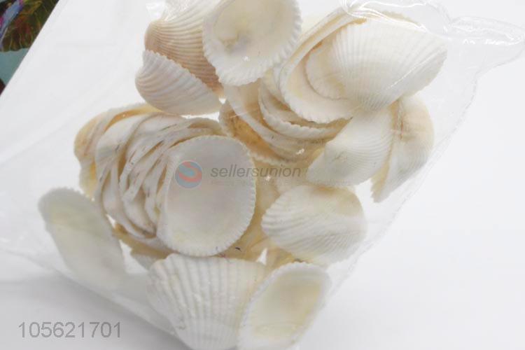 Fashion Design Sea Shells Shell Craft Aquarium Nautical Decor Ornaments