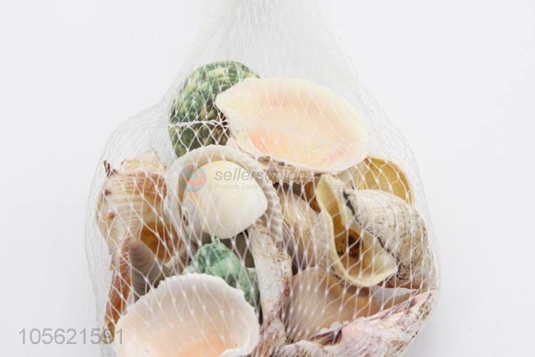 Wholesale Unique Design Home Decor Natural Sea Beach Shell Crafts