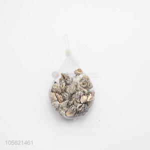 Bottom Price Conch Seashells For DIY Crafts