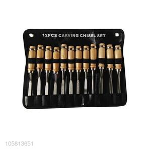 Reasonable price 12pcs wood sculpture carving chisel tool set