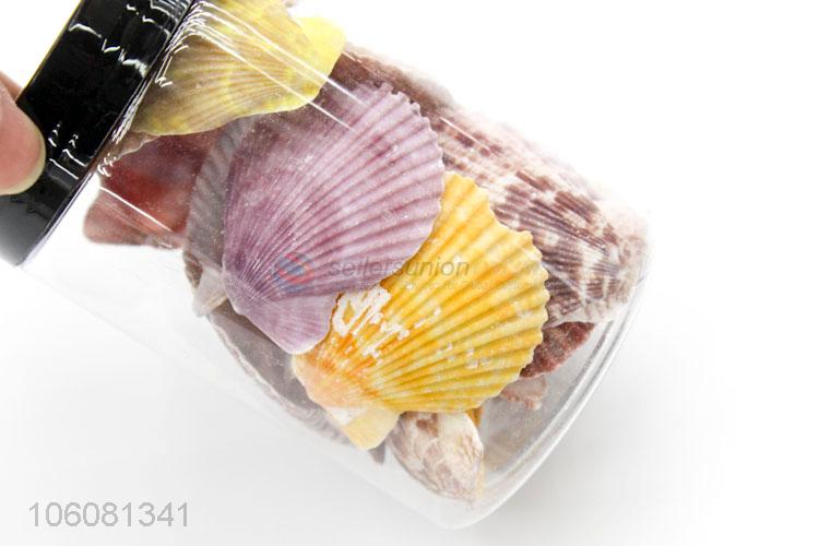 Top quality sea shell fashion shell/conch crafts