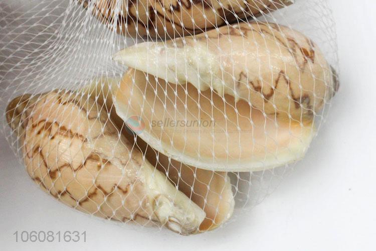 Good quality colorful seashell beach home decor