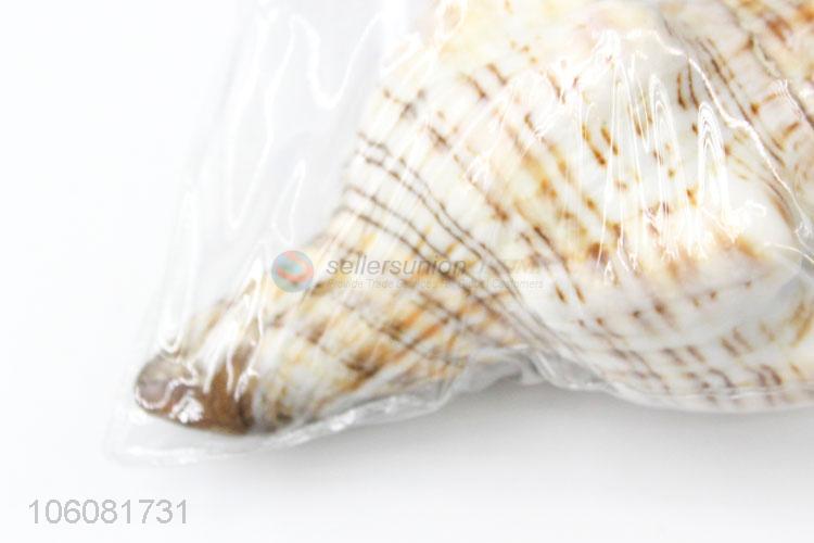 High sales decorative natural crushed sea shell