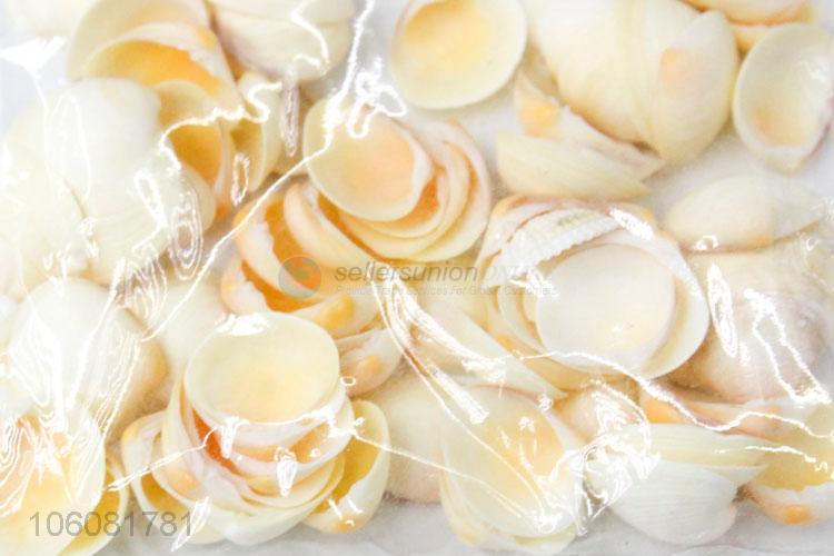 Cheap price natural sea shell beautiful shell craft set