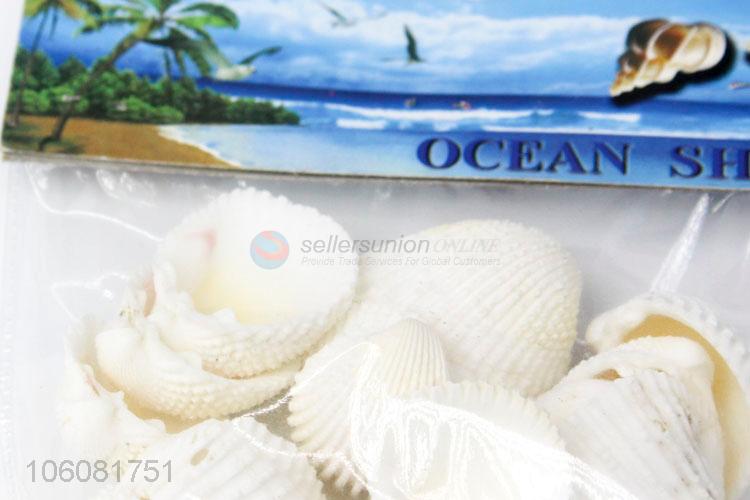 High sales natural sea shell best shell conch crafts