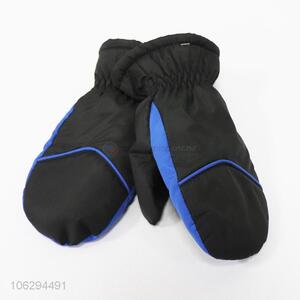 Hot Sale Snow Winter Gloves Ski Gloves