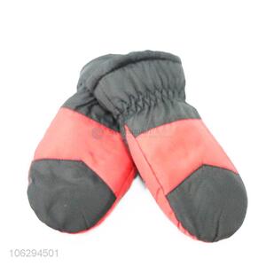 Hot New Products Winter Ski Snowmobile Gloves