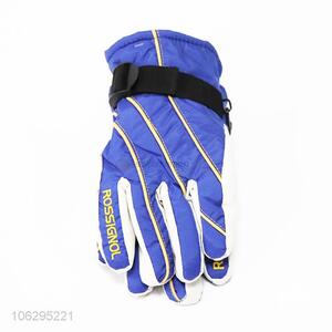 Factory Excellent Snow Winter Gloves Ski Gloves