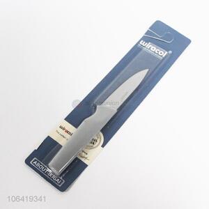 High Quality Stainless Steel Fruit Knife with Plastic Handle