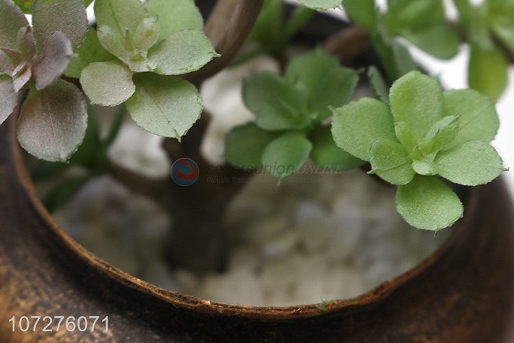 Factory direct sale mini potted plant for indoor & outdoor decoration