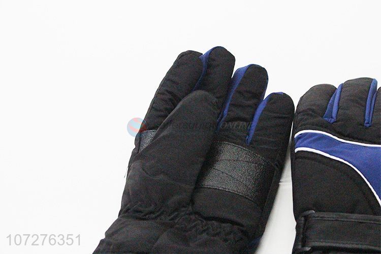 Premium Quality Windproof Waterproof Winter Outdoor Sports Adult Ski Gloves