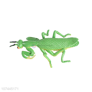 New arrival simulation animal model soft squishy locust toy