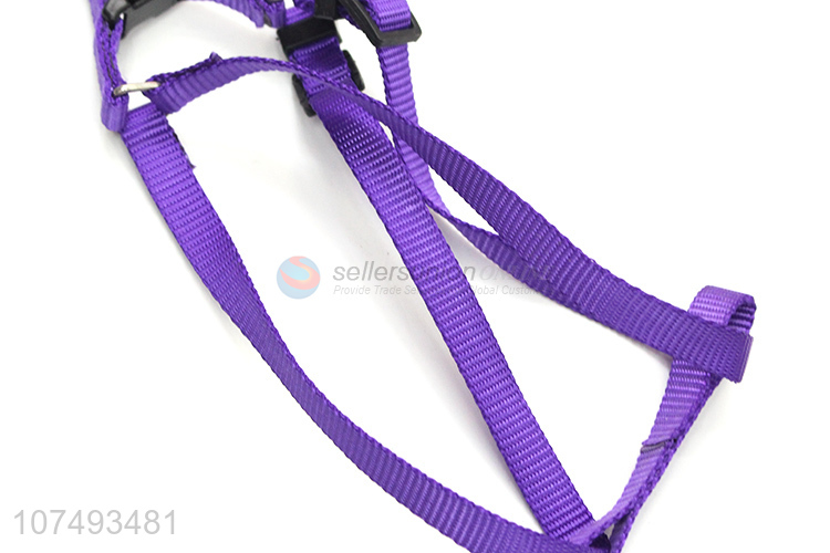 Custom Dog Harness Traction Rope Pet Collars Leashes