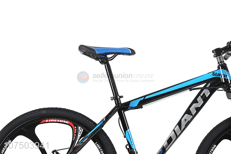 Popular 21 Speed MTB Bicycle Bicicleta Mountain Bike