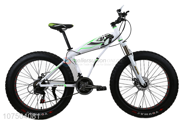 High-End 26 Inch Steel Frame Big Tire Fat Bike Snow Bicycle