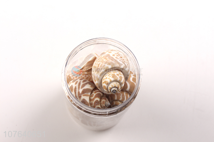 Low-priced sea view decorative spots Beihai Dongfeng snail