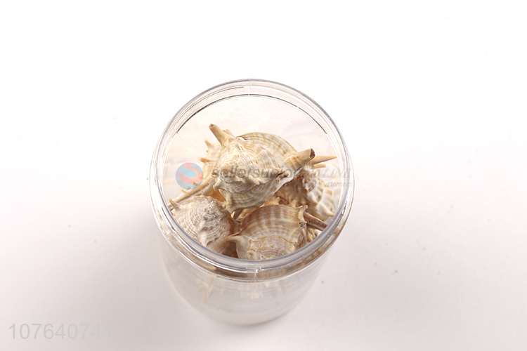 High quality seascape accessories long spiny snail natural shell