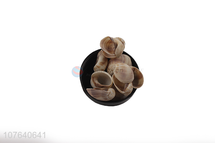 High-value aquarium landscaping meat snail decoration