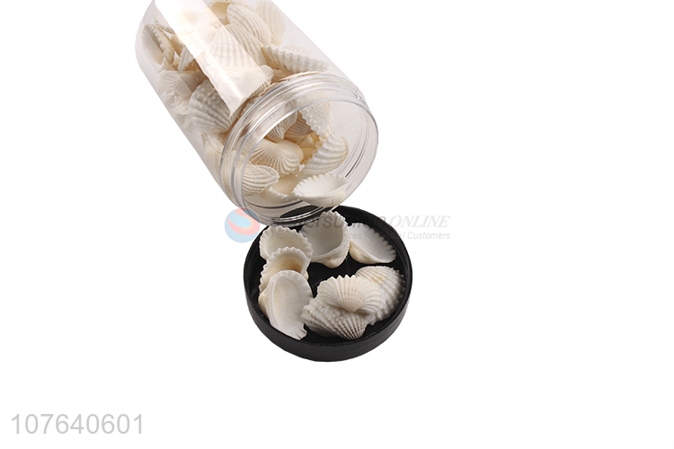 Natural landscape ornaments, clear lines, snow clam shells