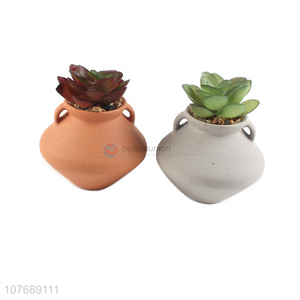 Simple earthenware pots succulents ceramic potted plants