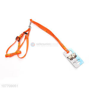 Lightweight durable training rope dog leash for outdoor