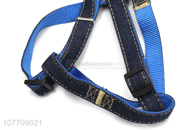 New arrival blue petsdurable leash with high quality