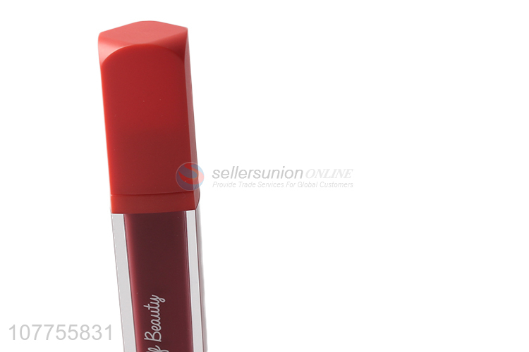 Makeup supplier brands professional natural cosmetics labial glair