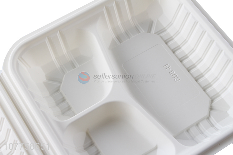 Disposable meal fast food pp takeaway food packaging boxes