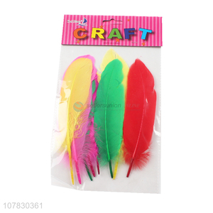 Custom Kids DIY Decorative Feather Creative Handmade Crafts