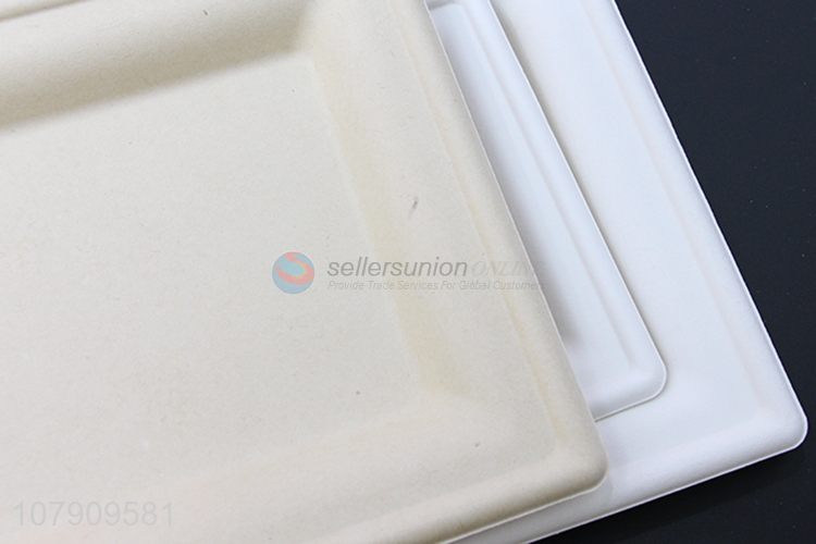 Simple design white disposable dinner plate universal eating plate