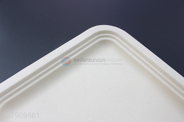 Yiwu Direct Sale White Disposable Square Dinner Plate for Restaurant