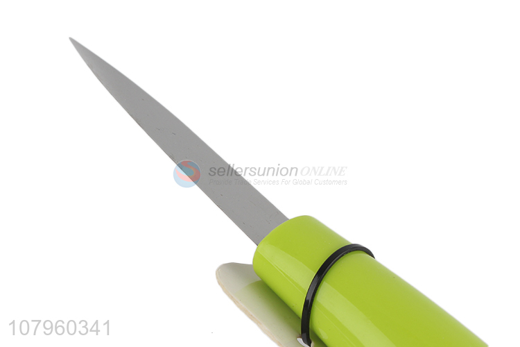 Hot Selling Sharp Fruit Knife Stainless Steel Kitchen Knife