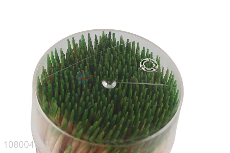 Good wholesale price plastic bottled toothpicks household toothpicks