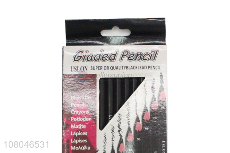 Factory supply 12 pieces sketching pencils black leads pencil set