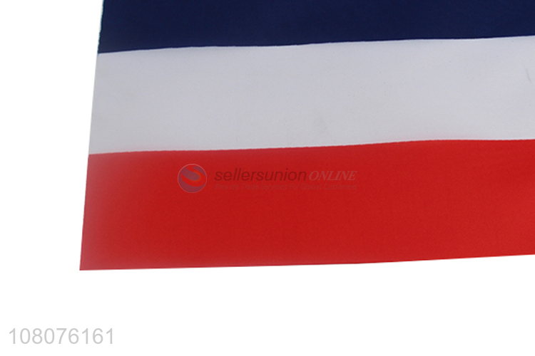 Hot selling eco-friendly decorative polyester national flags