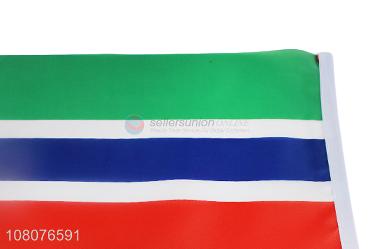 China factory decorative Gambia country flags mini national flags