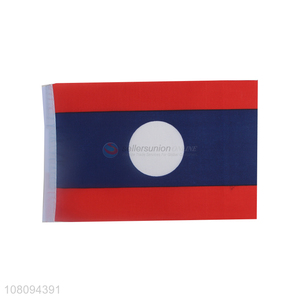 Hot sale Laos national flag double-sided competition banner