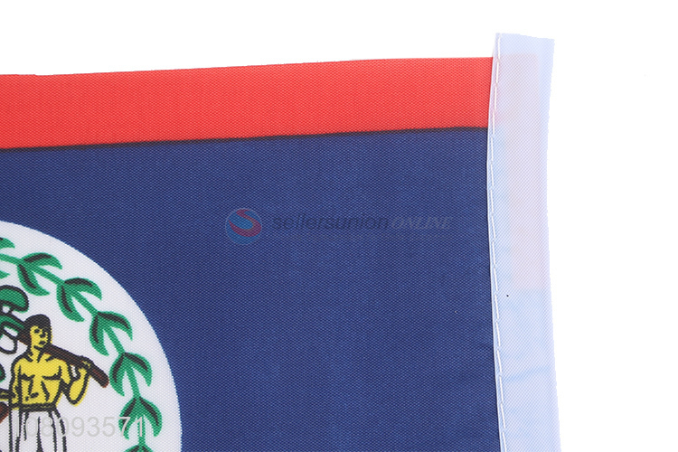 New arrival polyester flag for party decoration