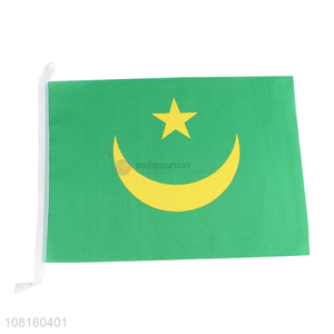 Top quality sports event party mini national flags