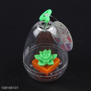 New arrival water growing bonsai grow succulent plant toy for kids