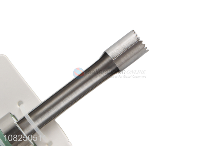 Popular Fashion Fruit Corer Stainless Steel Core Remover