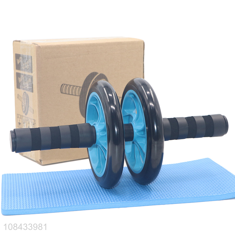 Hot selling home fitness gym equipment 2-wheel abdominal wheel roller