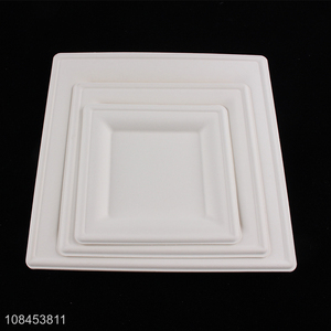 Hot products square plate foam dinner plate for sale