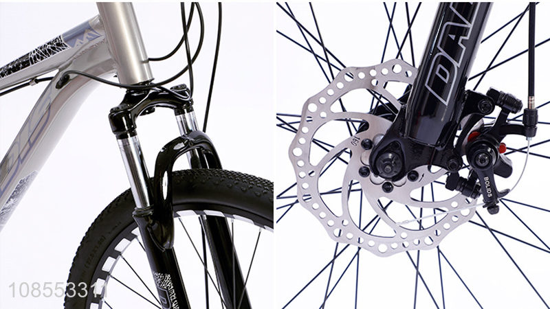 New arrival carbon steel off road bike mountain bicycle