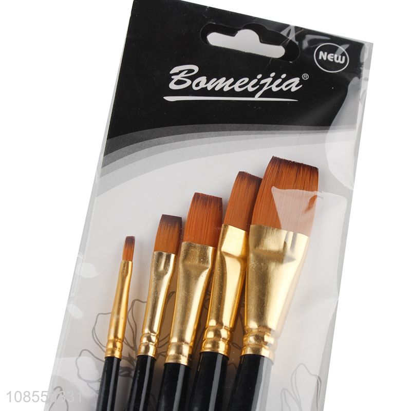 Good quality 5pcs/set hair paintbrush set for kids adult painting